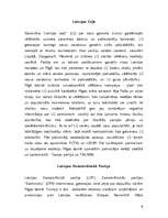 Referāts 'Latvijas politiskie spēki pirms pašvaldību vēlēšanām', 6.