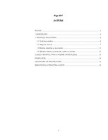 Referāts 'Dziļās muskulatūras nozīme spondilozes profilaksē', 2.