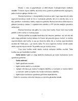 Referāts 'Dziļās muskulatūras nozīme spondilozes profilaksē', 4.