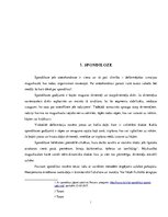 Referāts 'Dziļās muskulatūras nozīme spondilozes profilaksē', 5.