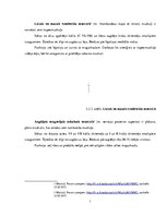 Referāts 'Dziļās muskulatūras nozīme spondilozes profilaksē', 9.