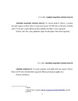 Referāts 'Dziļās muskulatūras nozīme spondilozes profilaksē', 10.