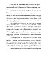 Referāts 'Dziļās muskulatūras nozīme spondilozes profilaksē', 16.