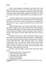 Referāts 'Tūrisma iespējas un attīstība Ventspilī. Tūrisma resursi Ventspils reģionā', 6.