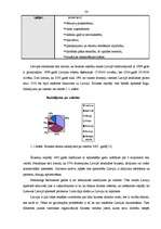 Referāts 'Tūrisma iespējas un attīstība Ventspilī. Tūrisma resursi Ventspils reģionā', 24.