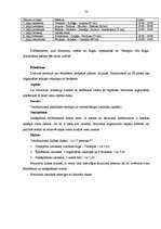 Referāts 'Tūrisma iespējas un attīstība Ventspilī. Tūrisma resursi Ventspils reģionā', 53.