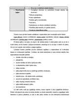 Referāts 'Tūrisma iespējas un attīstība Ventspilī. Tūrisma resursi Ventspils reģionā', 57.