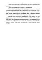 Referāts 'Tūrisma iespējas un attīstība Ventspilī. Tūrisma resursi Ventspils reģionā', 64.