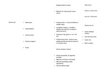 Konspekts 'Pētījums par elektromagnētisko starojumu', 4.