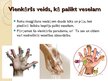 Prezentācija 'Tīras rokas - veselības garants', 9.