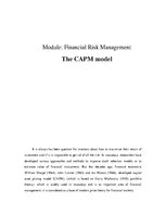 Referāts 'Financial Risk Management. The CAPM Model', 1.