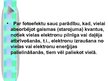 Prezentācija 'Fotoefekts', 2.