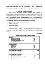 Referāts 'Z/S "Daba" ražošanas plāns', 16.