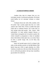 Referāts 'Pusaudžu līderība', 20.