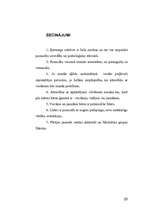 Referāts 'Pusaudžu līderība', 23.