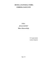 Eseja 'Mana biznesa ideja', 1.