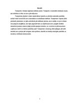 Referāts 'Transporta sistēmas komponenti un cauruļvadu transports', 3.