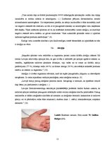 Referāts 'Bioloģiski aktīvās piedevas kosmētikā', 13.