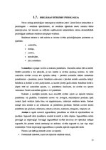 Referāts 'Kluba "Post - Club" reklāma un tās efektivitātes novērtējums', 13.