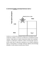 Konspekts 'AS "SEB banka" mārketinga audita izziņa', 6.