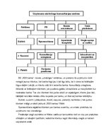 Konspekts 'AS "SEB banka" mārketinga audita izziņa', 7.