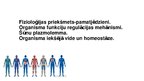 Prezentācija 'Fizioloģijas pamatprincipi', 1.