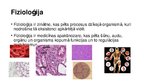 Prezentācija 'Fizioloģijas pamatprincipi', 2.