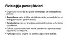 Prezentācija 'Fizioloģijas pamatprincipi', 5.