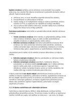 Paraugs 'Krājumu uzskaites un analīzes izvērtējums uzņēmumā AS Amber', 14.