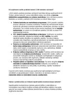 Paraugs 'Krājumu uzskaites un analīzes izvērtējums uzņēmumā AS Amber', 91.