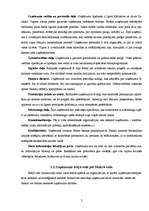 Prakses atskaite 'SIA "Sala mežs"', 7.