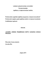 Eseja 'Jauniešu lēmuma pieņemšanas motīvi karjeras izvēles procesā', 1.