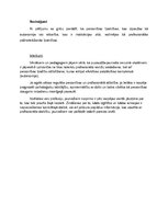 Eseja 'Jauniešu lēmuma pieņemšanas motīvi karjeras izvēles procesā', 6.