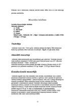 Referāts 'Vardarbīgās diktatūras', 10.