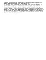 Eseja 'Human Rights around the World ', 3.