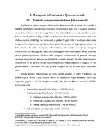 Referāts 'Transporta infrastruktūras attīstības iespējas Ķekavas novadā', 11.