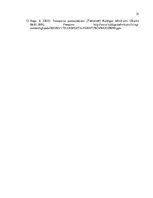 Referāts 'Transporta infrastruktūras attīstības iespējas Ķekavas novadā', 23.