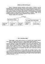 Konspekts 'Sižeta lomu rotaļas', 1.