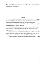 Referāts 'Viļānu novada tautas tērps', 6.