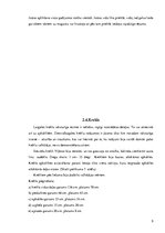 Referāts 'Viļānu novada tautas tērps', 9.