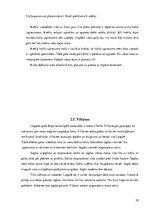 Referāts 'Viļānu novada tautas tērps', 10.