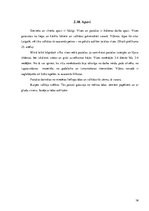 Referāts 'Viļānu novada tautas tērps', 16.