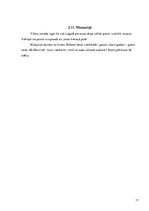 Referāts 'Viļānu novada tautas tērps', 17.