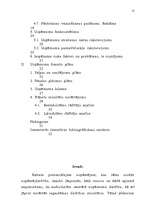 Biznesa plāns 'Biznesa plāns SIA "MA 1"', 4.