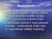 Prezentācija 'Organizācijas kultūras teorija', 17.