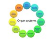 Prezentācija 'Changes of Different Organ Systems during Pregnancy', 2.