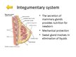 Prezentācija 'Changes of Different Organ Systems during Pregnancy', 12.