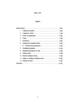 Biznesa plāns 'Biznesa plāns', 2.