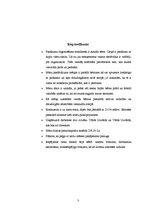 Biznesa plāns 'Biznesa plāns', 3.