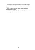 Biznesa plāns 'Biznesa plāns', 10.